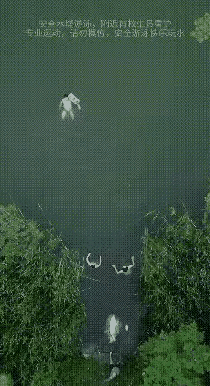 四驱狗子太好玩了[墨镜][墨镜]