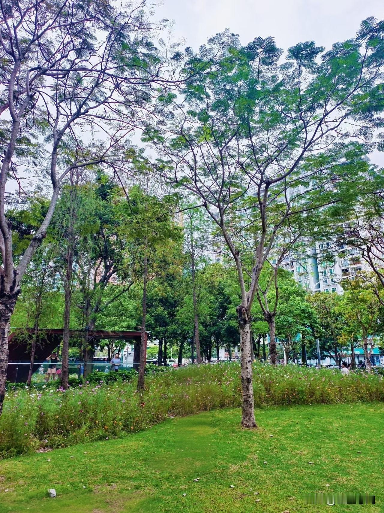 都说是好死不如赖活着，其实真的是未必，等人到了病痛缠身、生活不能自理、行就将木的