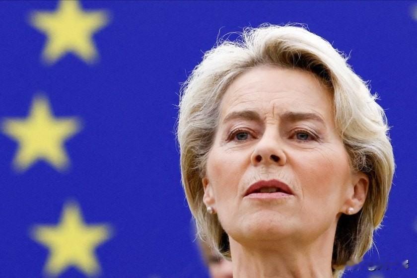 “要么改变，要么灭亡”：冯德莱恩呼吁欧洲效仿乌克兰欧盟委员会主席冯德莱恩在慕