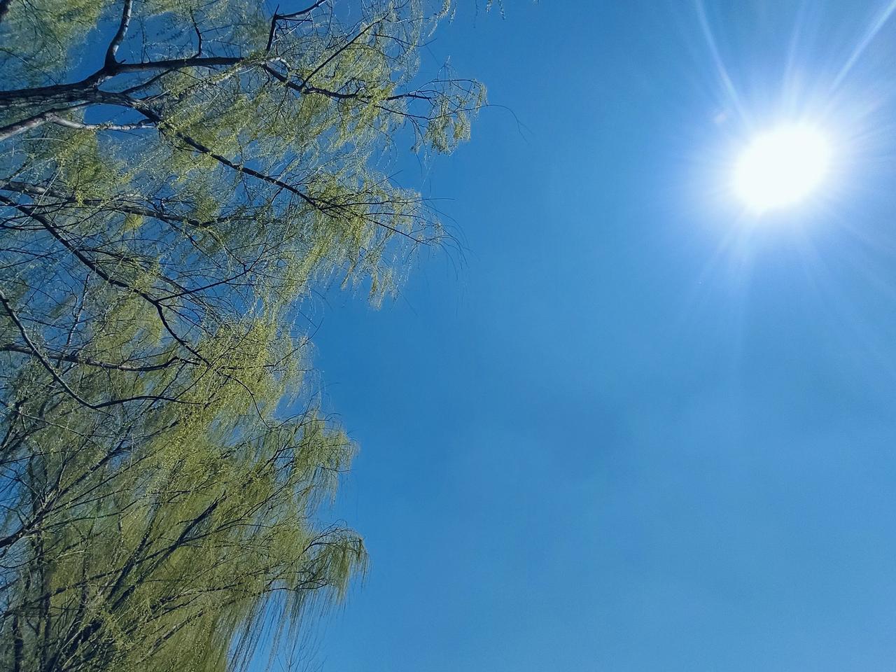 都在说文科已死，让孩子们不选文科，好像都选了理科都能找到工作似的。在今天这个时