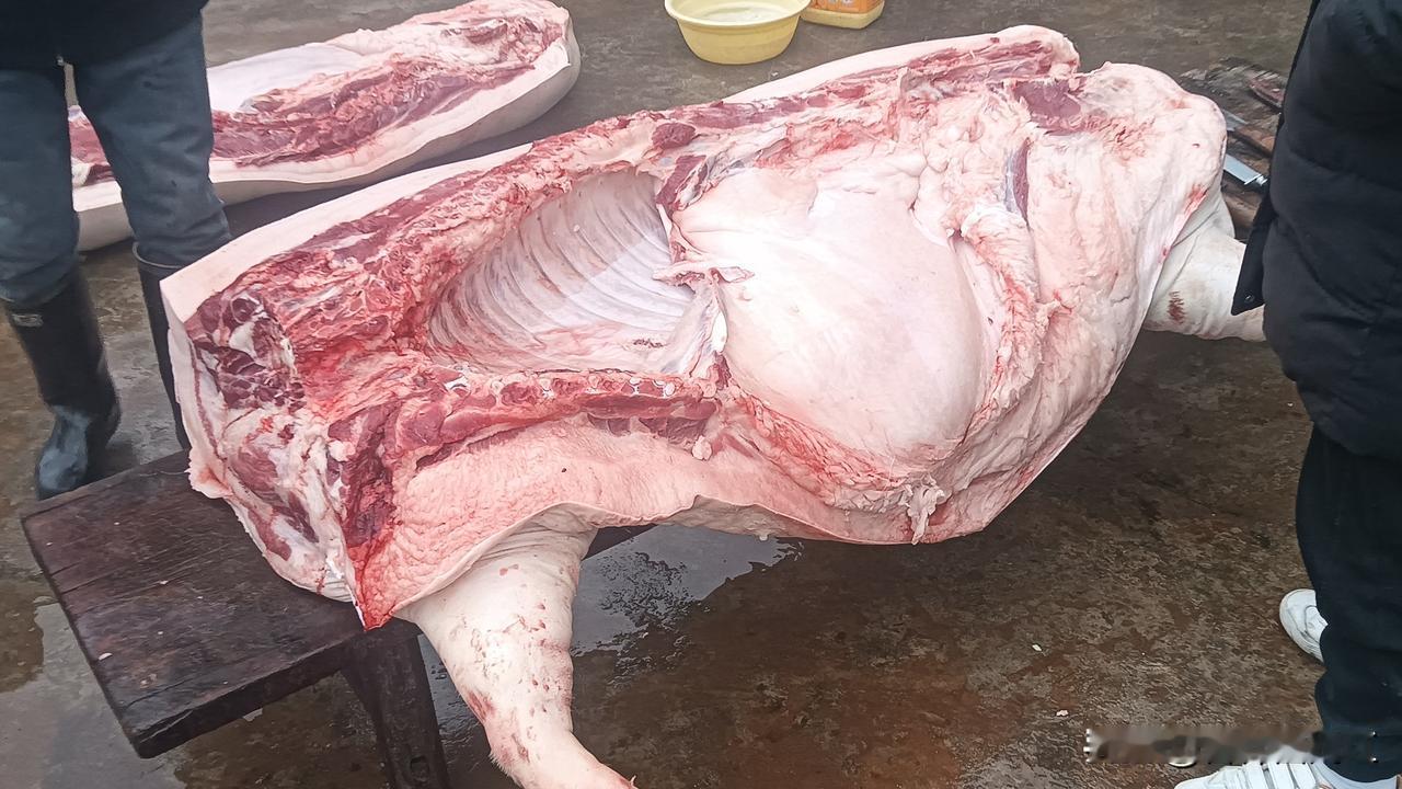 杀年猪，600多斤的猪，好多年没看见了小时候最喜欢的日子之一就是杀年猪，吃泡