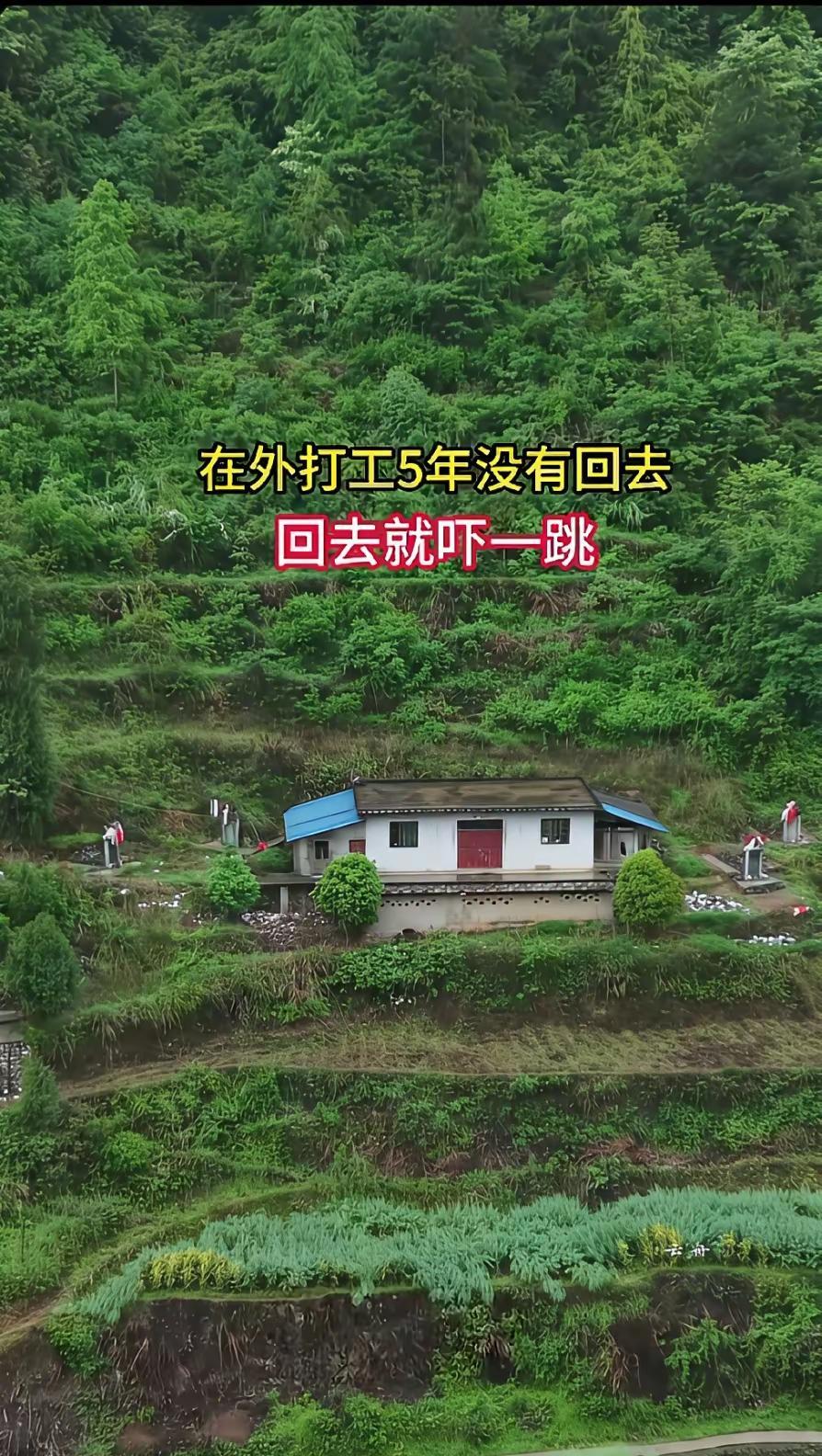 给你安排几个保镖看家护院，你应该感谢人家[捂脸哭]