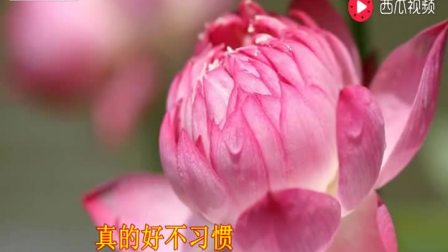 送你一曲醉人的歌, 希望能消除你
