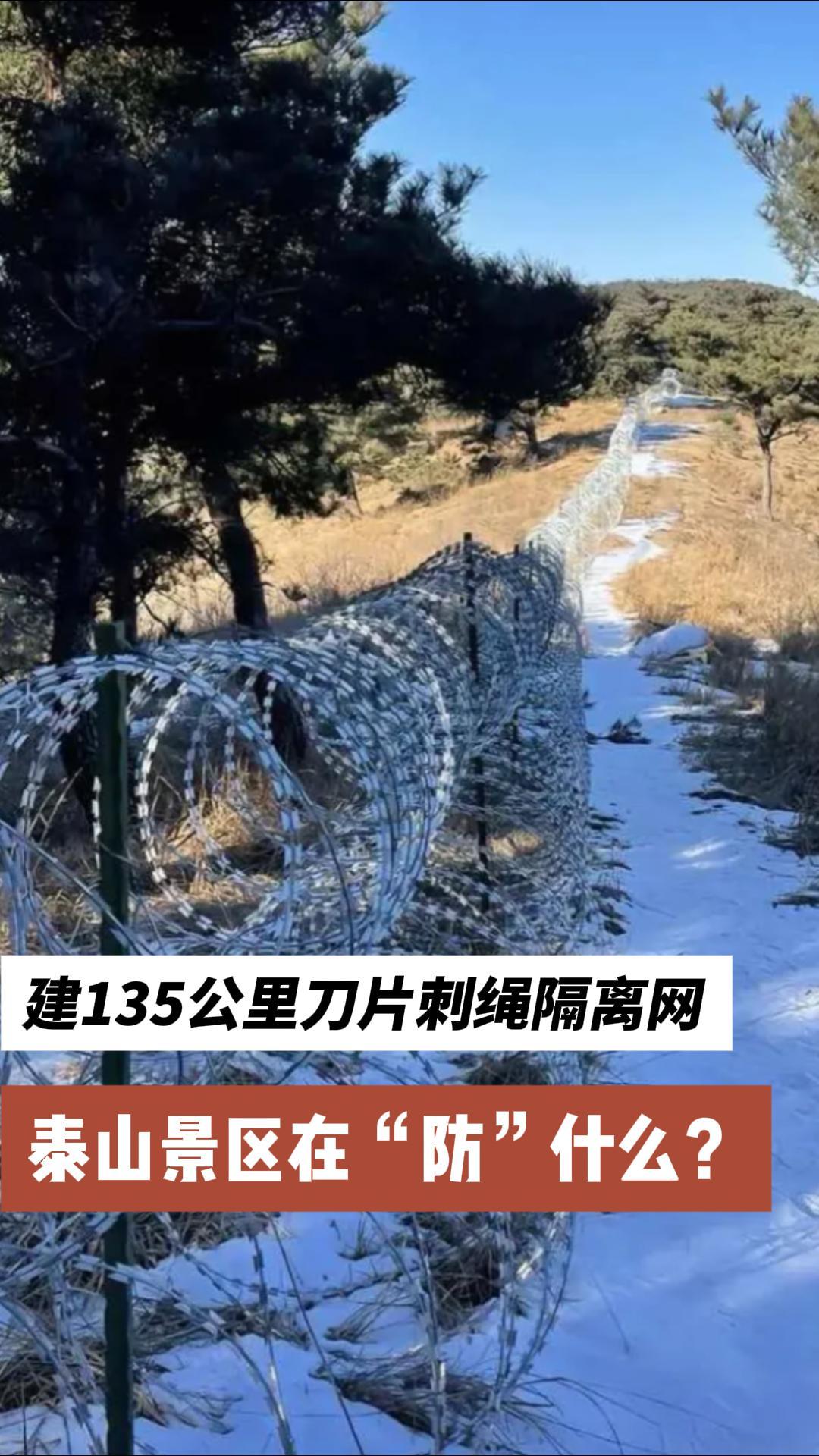 当地人说泰山装网太荒唐占山为王奈何如，劳心破财只杀熟；游客远道慕名往，