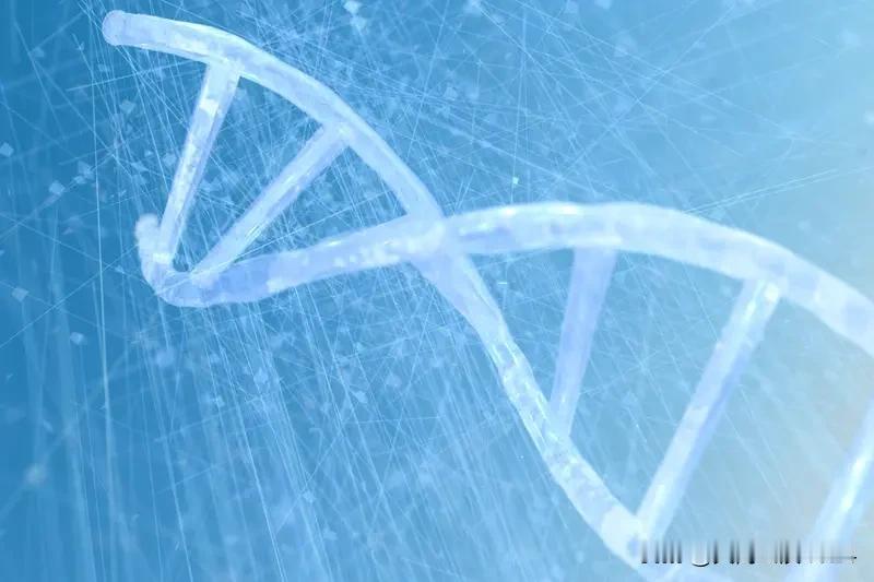 研究：人类寿命长短超50%由基因决定长寿这事儿，基因影响有多大？最新研究说人类