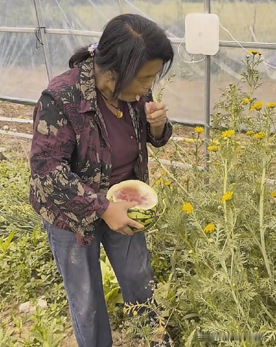 小故事！真是一丘之貉，看看三只手，又开始行动了。李佳瓜还没熟，