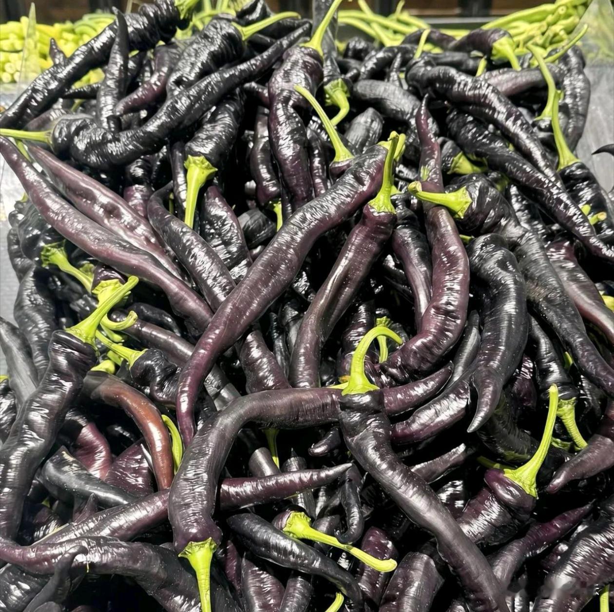 这是辣椒还是茄子？