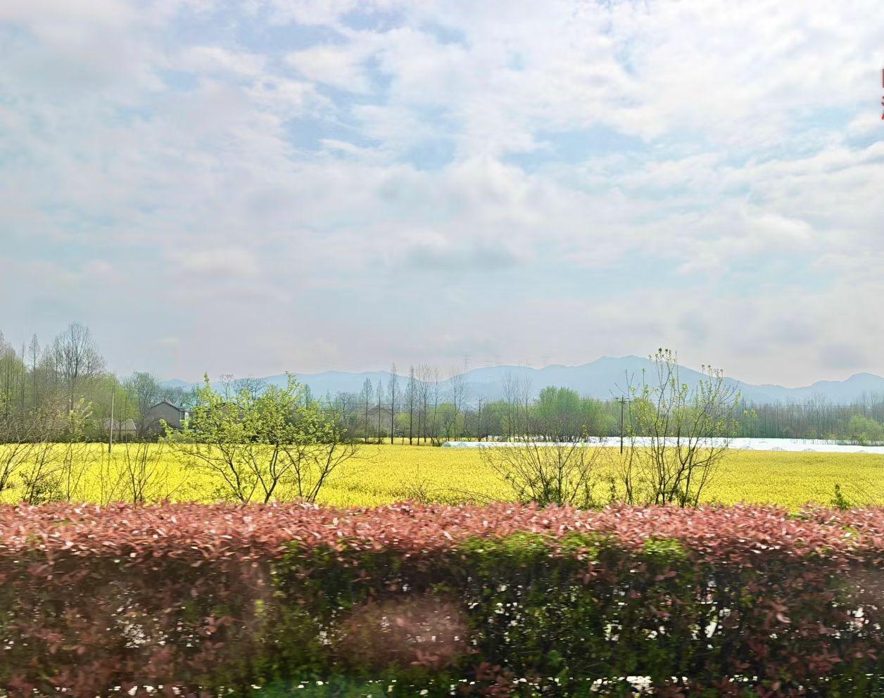 生活无需复杂，简单就好；人生无需繁华，开心就好常听身边人念叨活得累，其实大