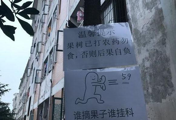 高校为防学生偷果子挂雷人标语: 谁摘果子谁挂科