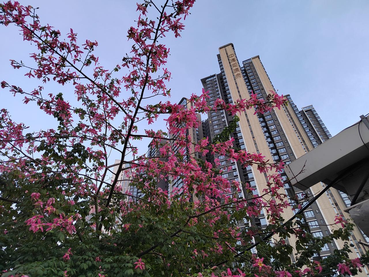 电力板块的2026年：改革深水区与结构性机遇（改写自华创证券、信达证券等机构