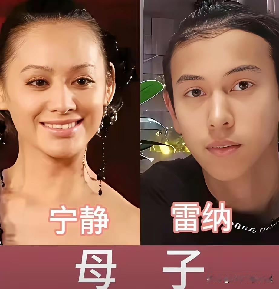 ​妈妈貌美儿子帅气，盘点娱乐圈高颜值母子宁静&雷纳、李绮红&李志德、胡杏儿&李