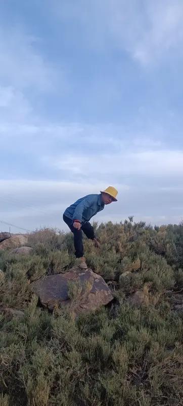 有段瞬间令人清醒的话：‘记住了，过劳者死，过慧者夭，困了就睡，饿了就吃，有活就干