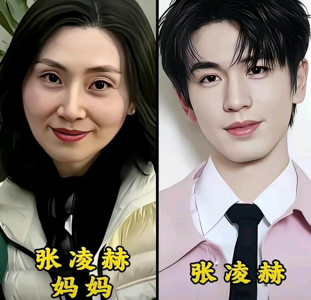 妈妈漂亮儿子不一定帅但儿子帅妈妈一定漂亮[捂脸哭]有好看的妈妈，才有帅气的