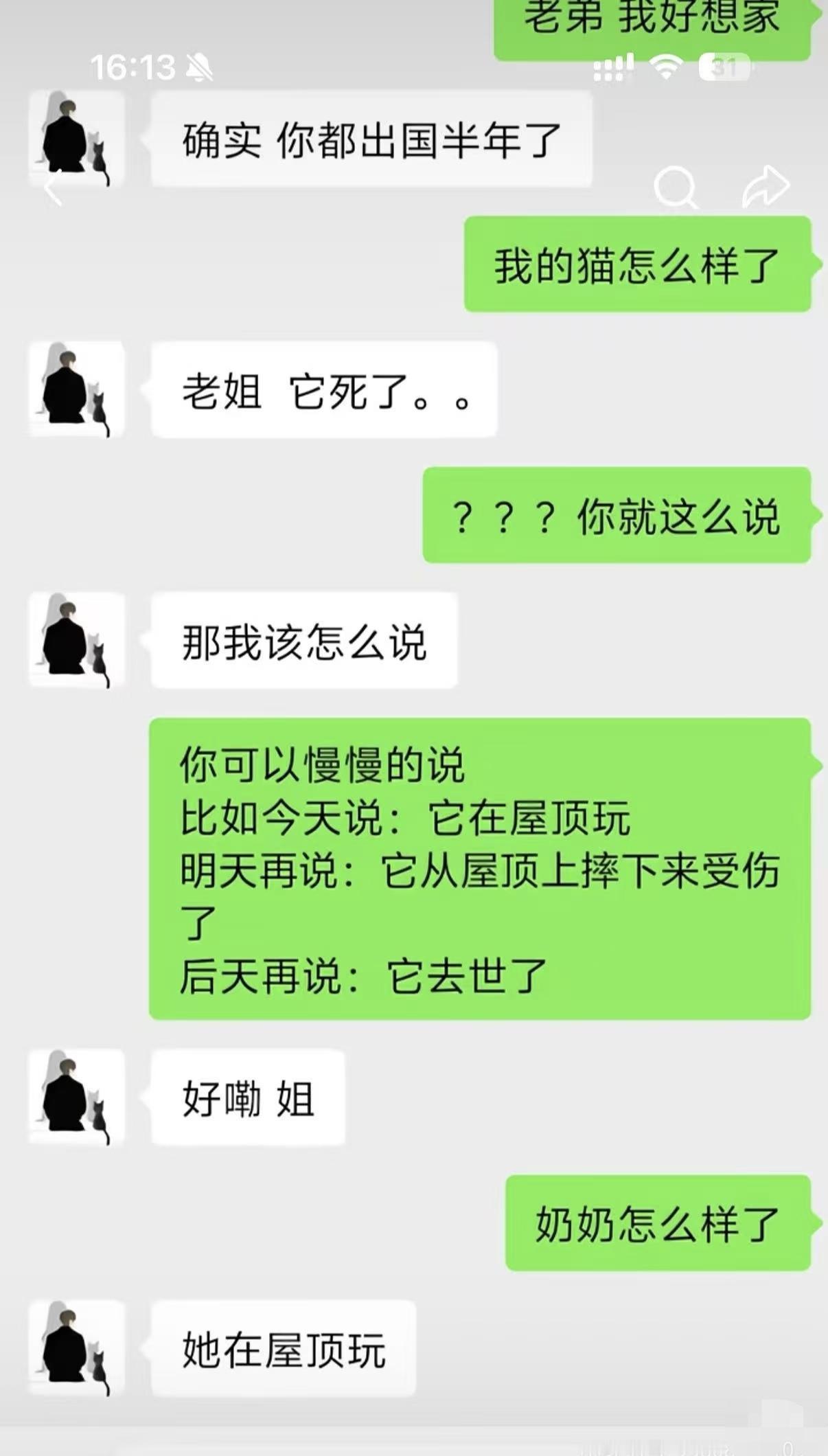 为何先关心猫而不是先关心奶奶？