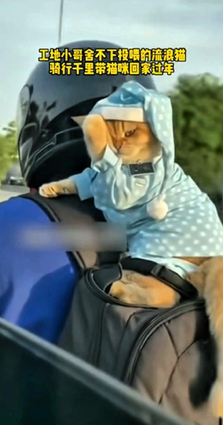 必须给他点赞！大大的。我们现在的社会需要这样的善良！这位小哥必有福报！！过年了