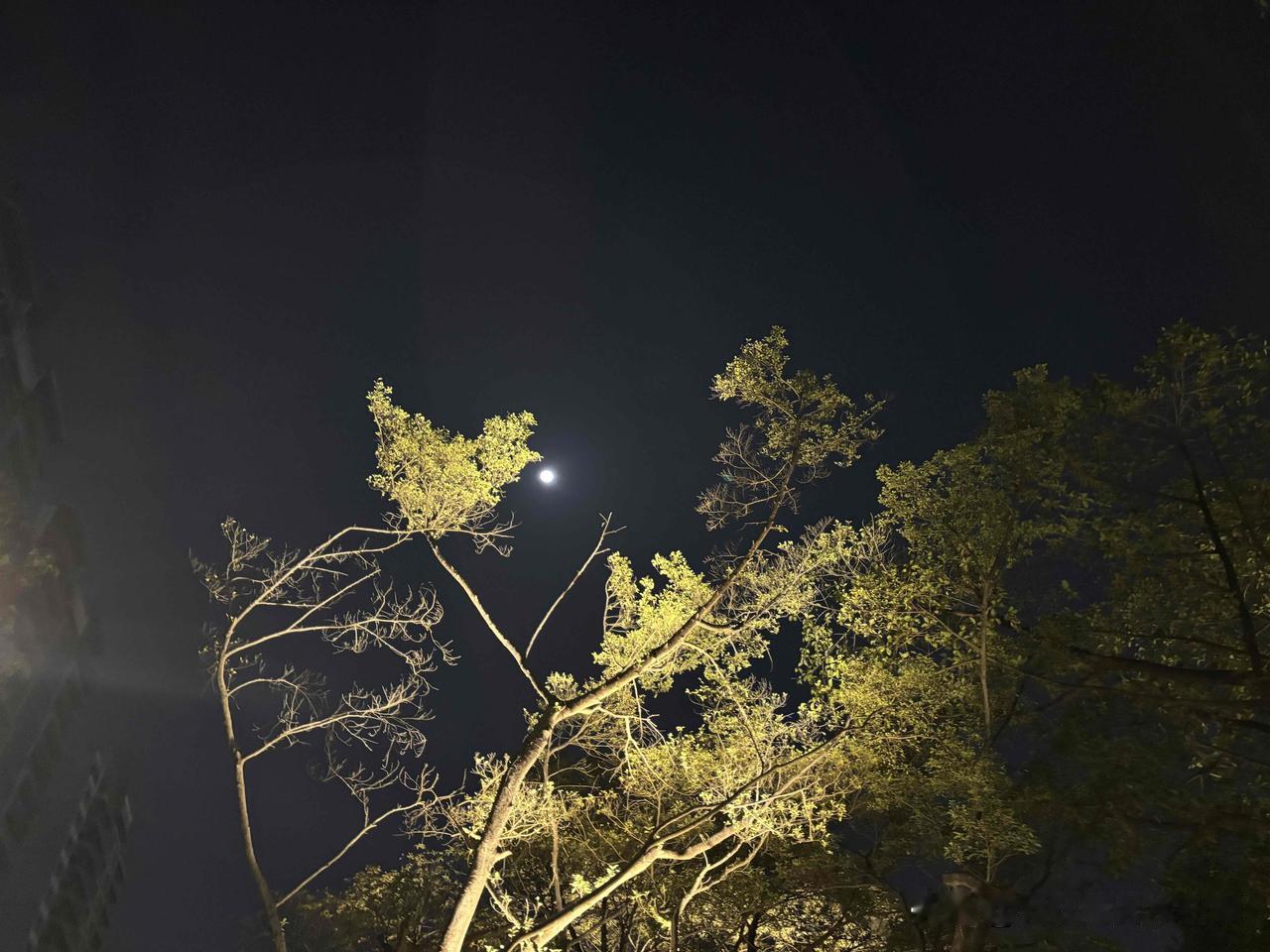 出色老婆10大标准：1、身高155-169cm(不用太高)2、体重45-65