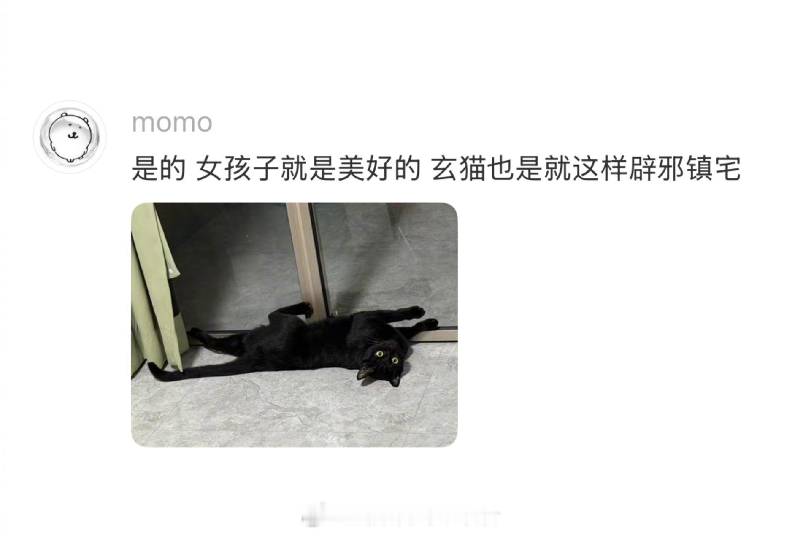 有人厕所写广告，有人把它涂小猫（