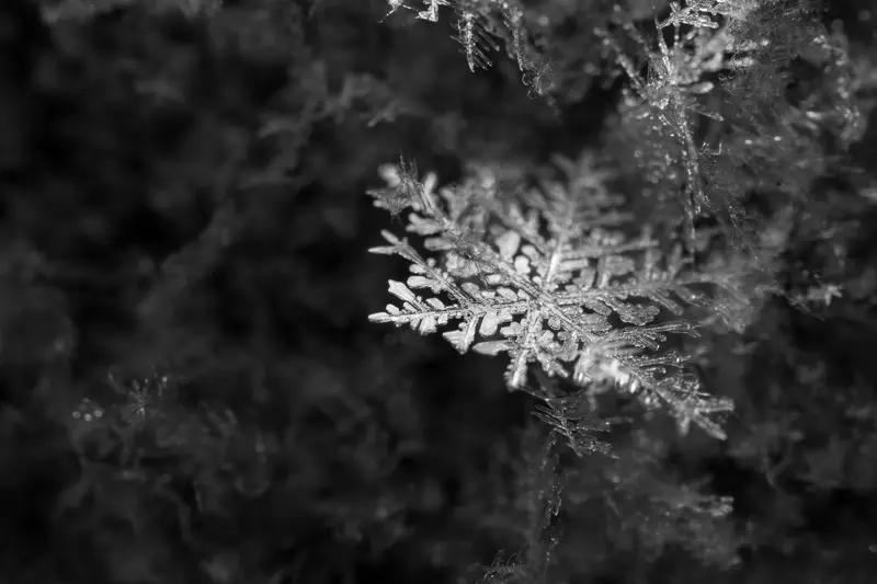 2026年1月20日，江浙沪今冬首场大范围降雪突袭，这雪一下，朋友圈全