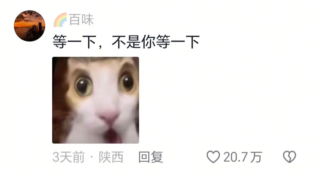 我以为就我这么狼狈呢