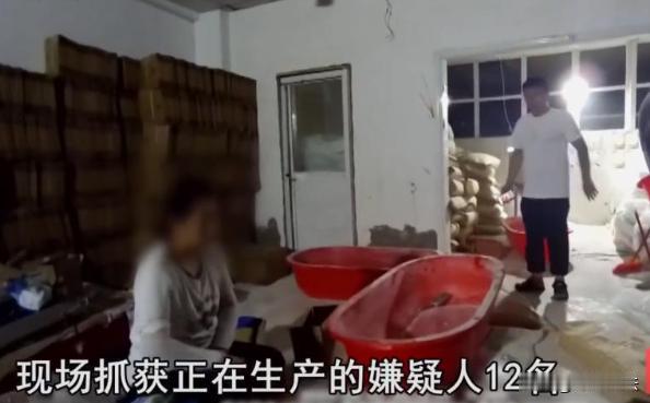 河南，很多平台主播销售所谓的“进口”假奶粉，声称是纯牛奶粉适合婴幼儿、老年人，窝