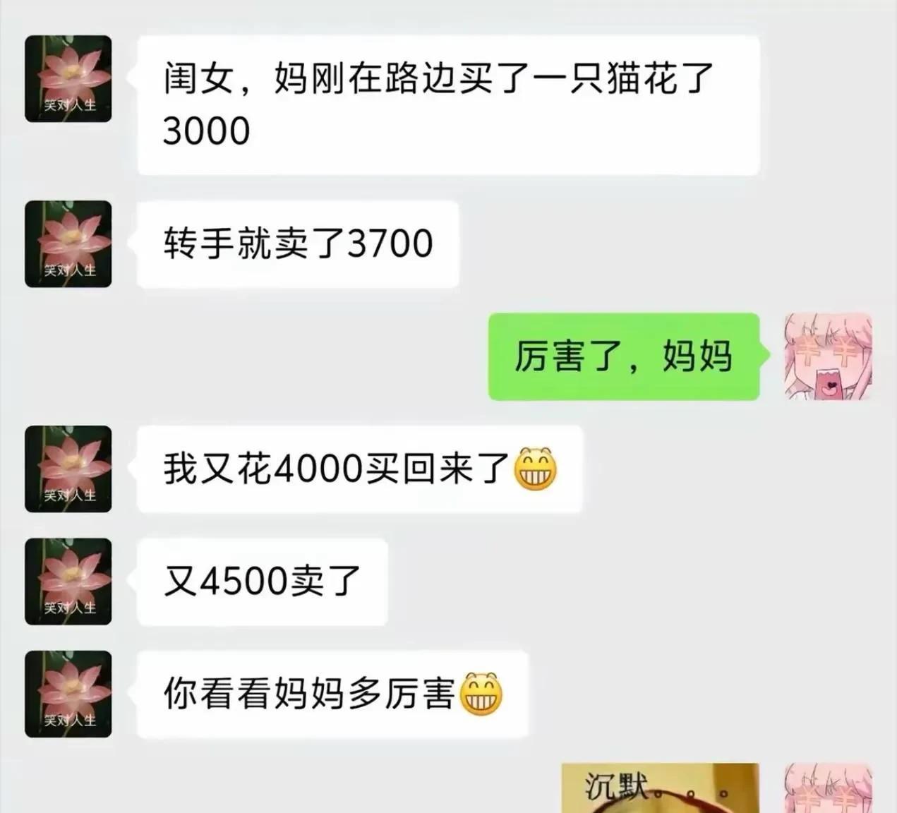 她老妈到底赚了没！