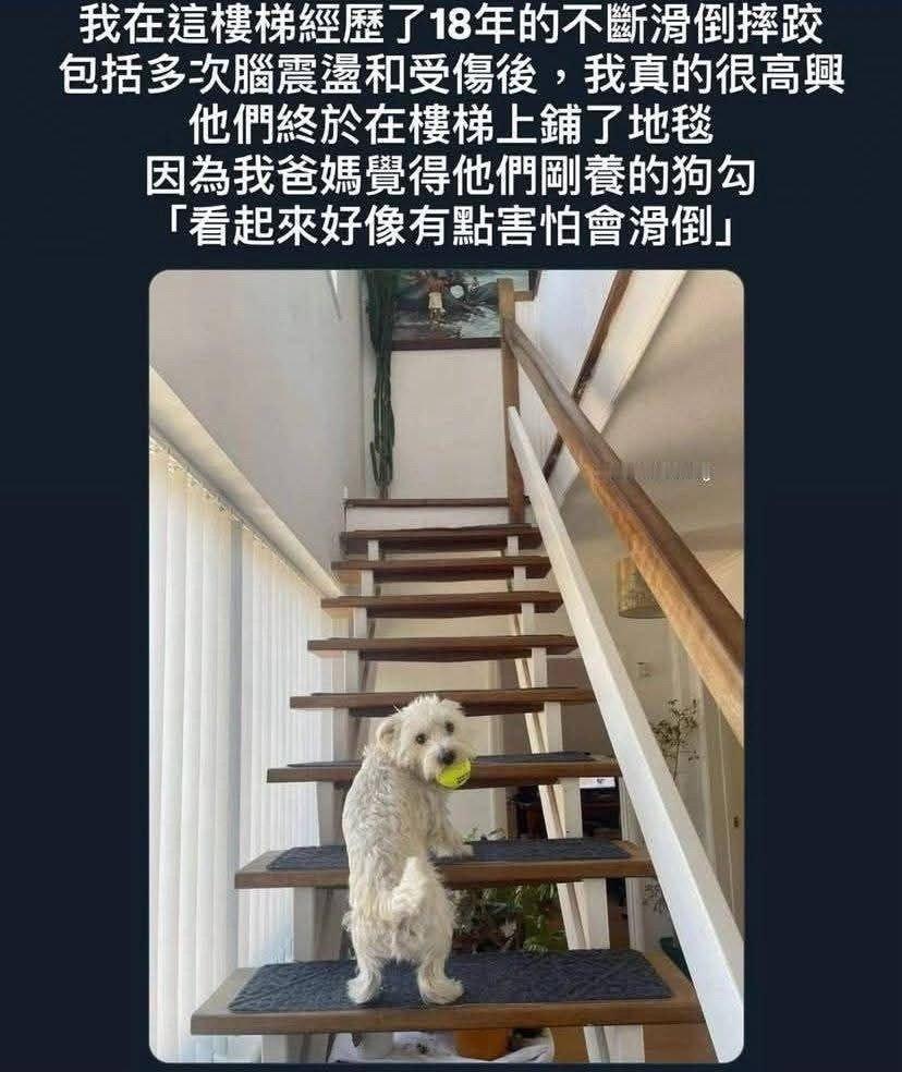 谁是领养的不好说