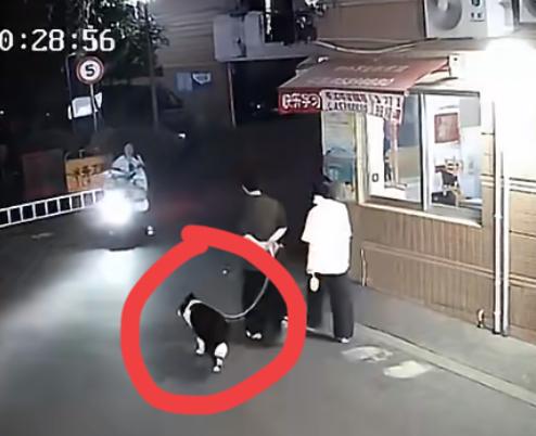 福建某小区门口，一女子骑着电瓶车，突然遭到一只边牧的袭击，女子只是提醒那对男女看