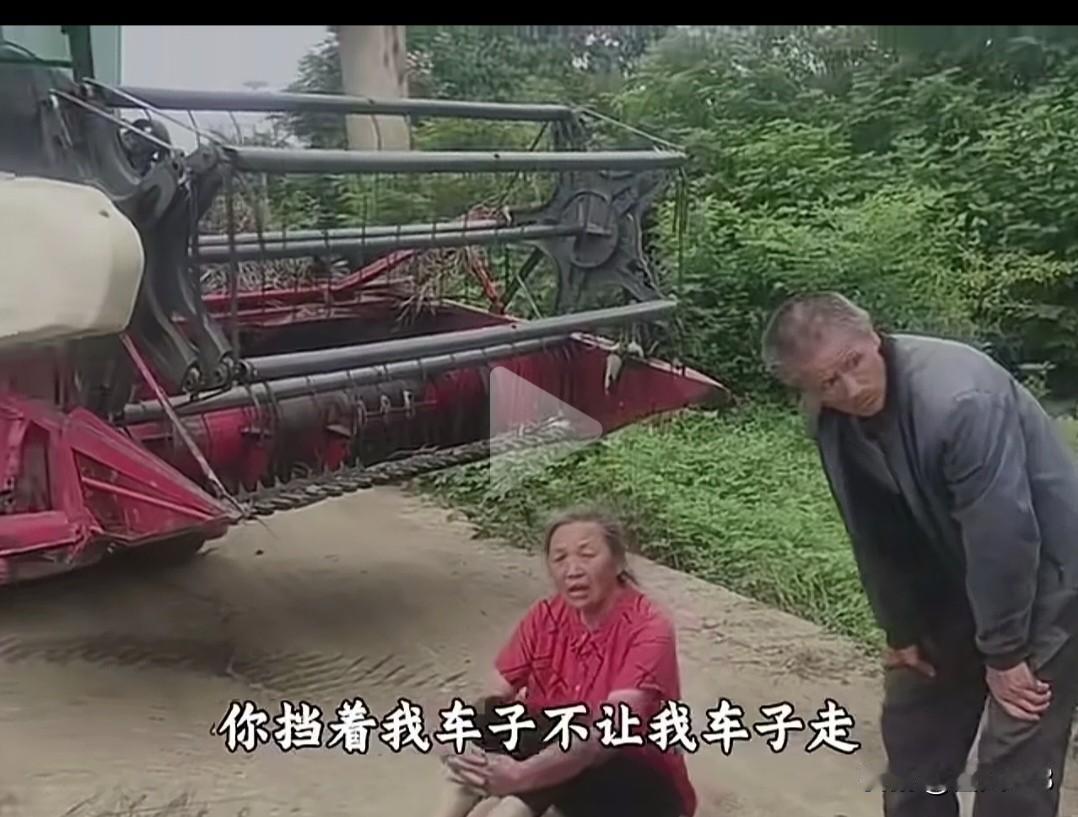 真是无语，湖北这家农户要求先收割再付钱，收割人主人不同意，女人就撒泼打滚不让收割