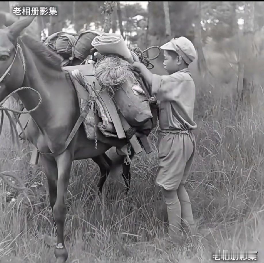 中华民族的钢铁脊梁！炎黄子孙的不屈灵魂！这么小的年纪就为国拼命看了心痛啊。