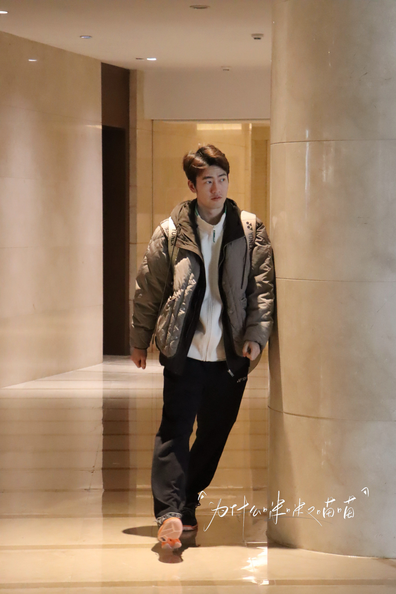 潇洒小金毛比赛去啦！cr.为什么咪咪又喵喵