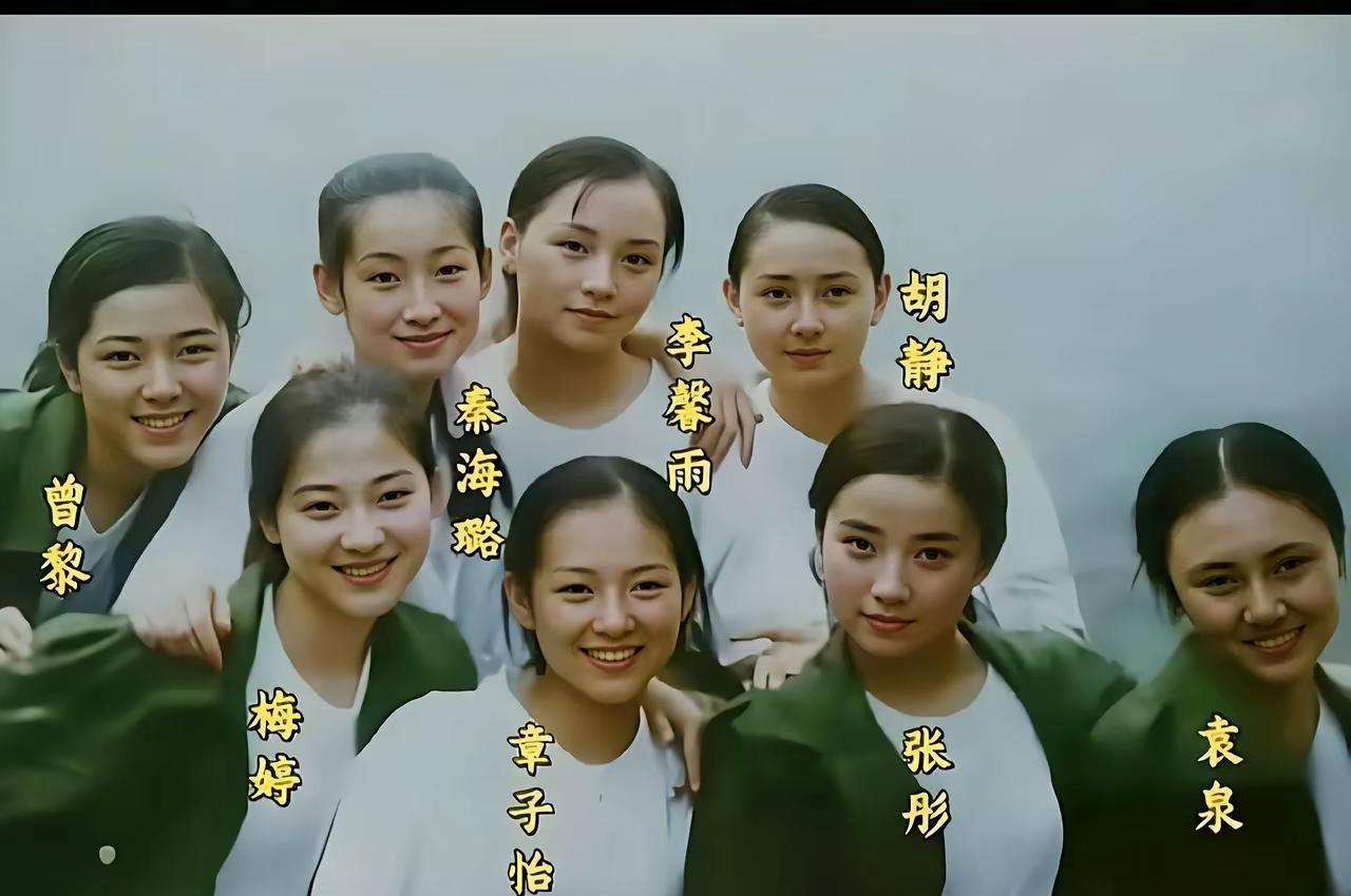 这张是梅婷和章子怡，以及秦海璐等人的合影，都看看吧，她们的脸上都洋溢着青春的笑容