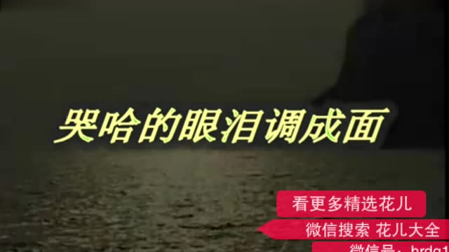 何清祥简谱_儿歌简谱