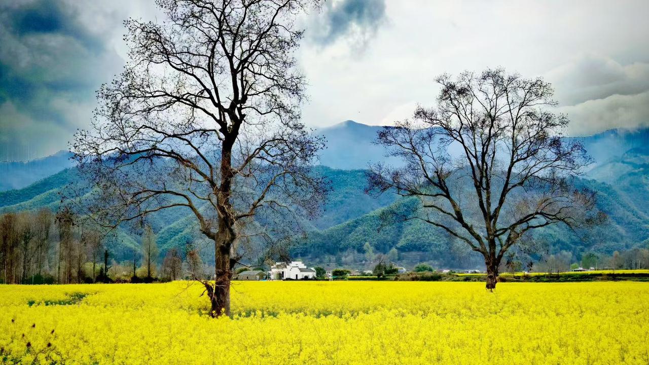 不讨好不勉强，活得自在才是真人这一辈子，说长不长，说短不短，没必要把自己活