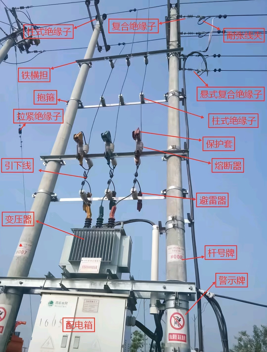 刷到什么学什么