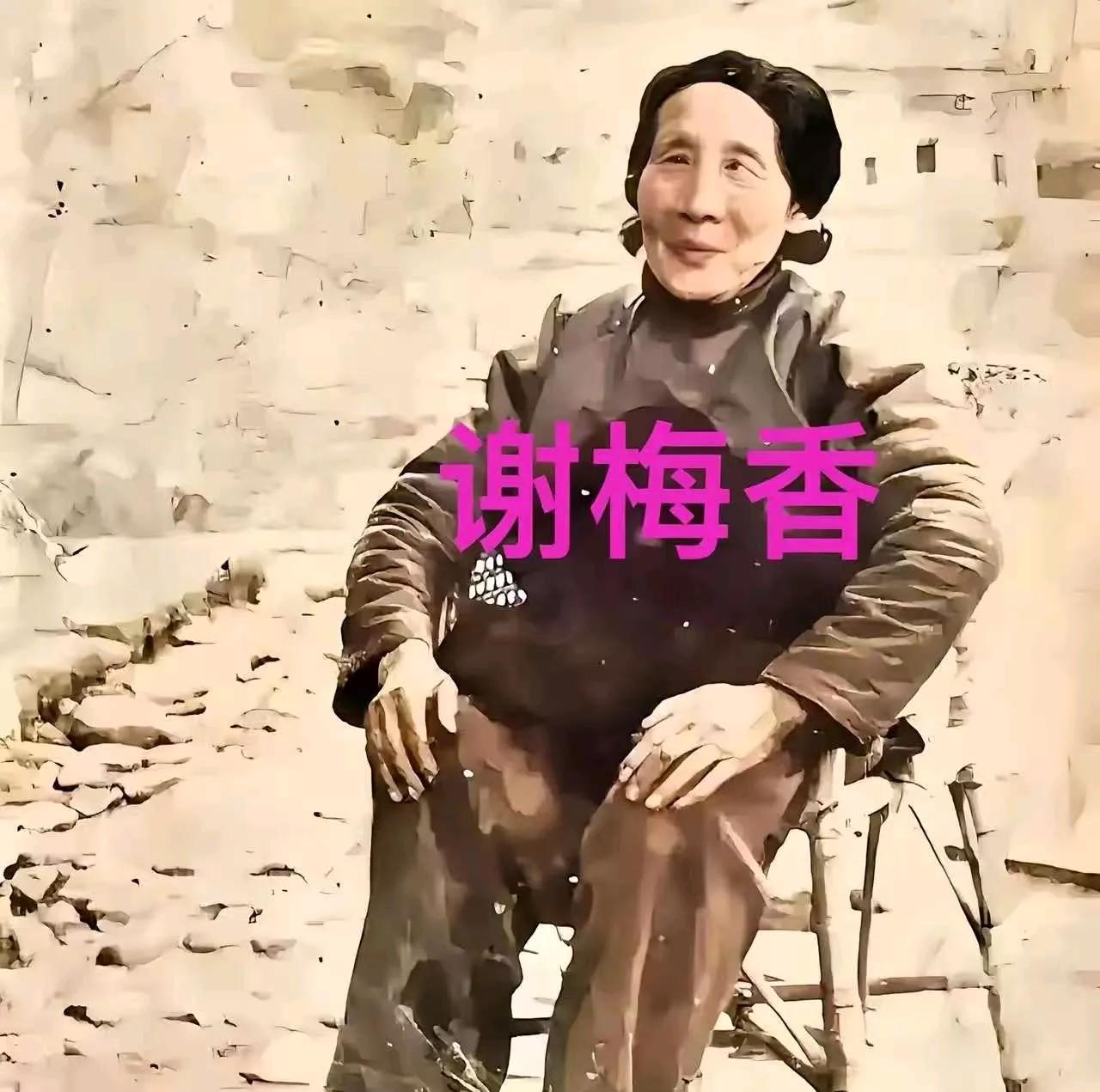 1929年的井冈山，枫叶红得像血。谢梅香在乱葬岗的荆棘里扒了八天，手指被刺得烂
