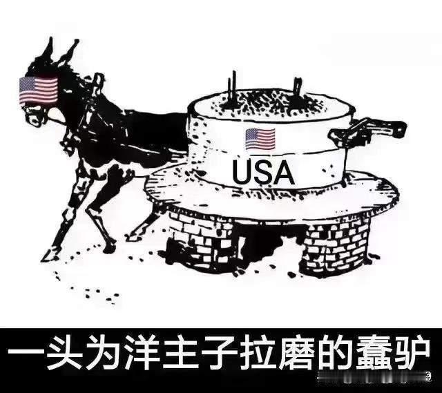 殖人都这个素质，难怪白宫不愿意给国际开发署拨钱了。前几天，我们的福建舰一次性