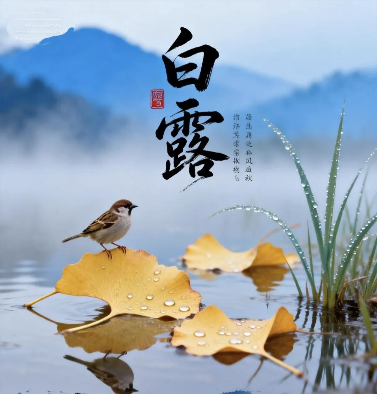 今日白露，"早白露，冻死老牛；晚白露，单衣过九"，今年冬天冷吗？北京时间20