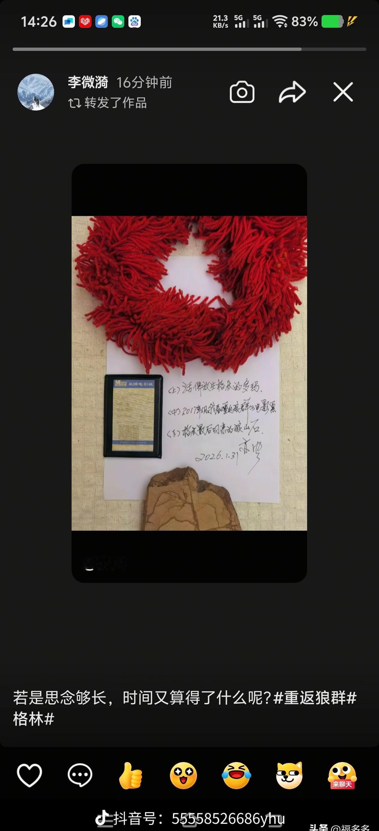 被自家狗啃秃了头，他反而笑得更开心了。格林咬他头发，他笑着拨开。那个最初的红