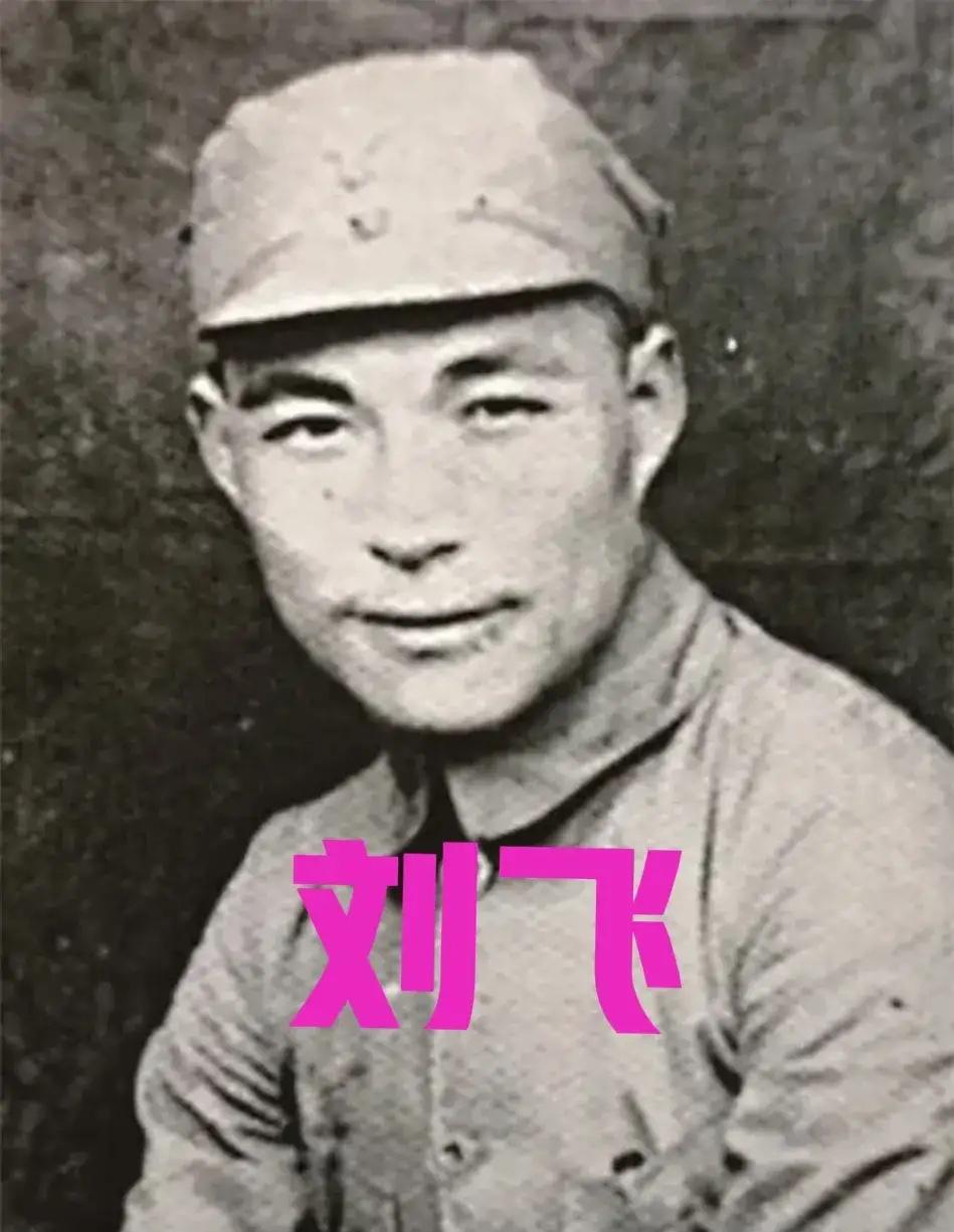 1945年，新四军旅长刘飞打了一次胜仗，抓了几个日本俘虏，突然，他看俘虏中有一