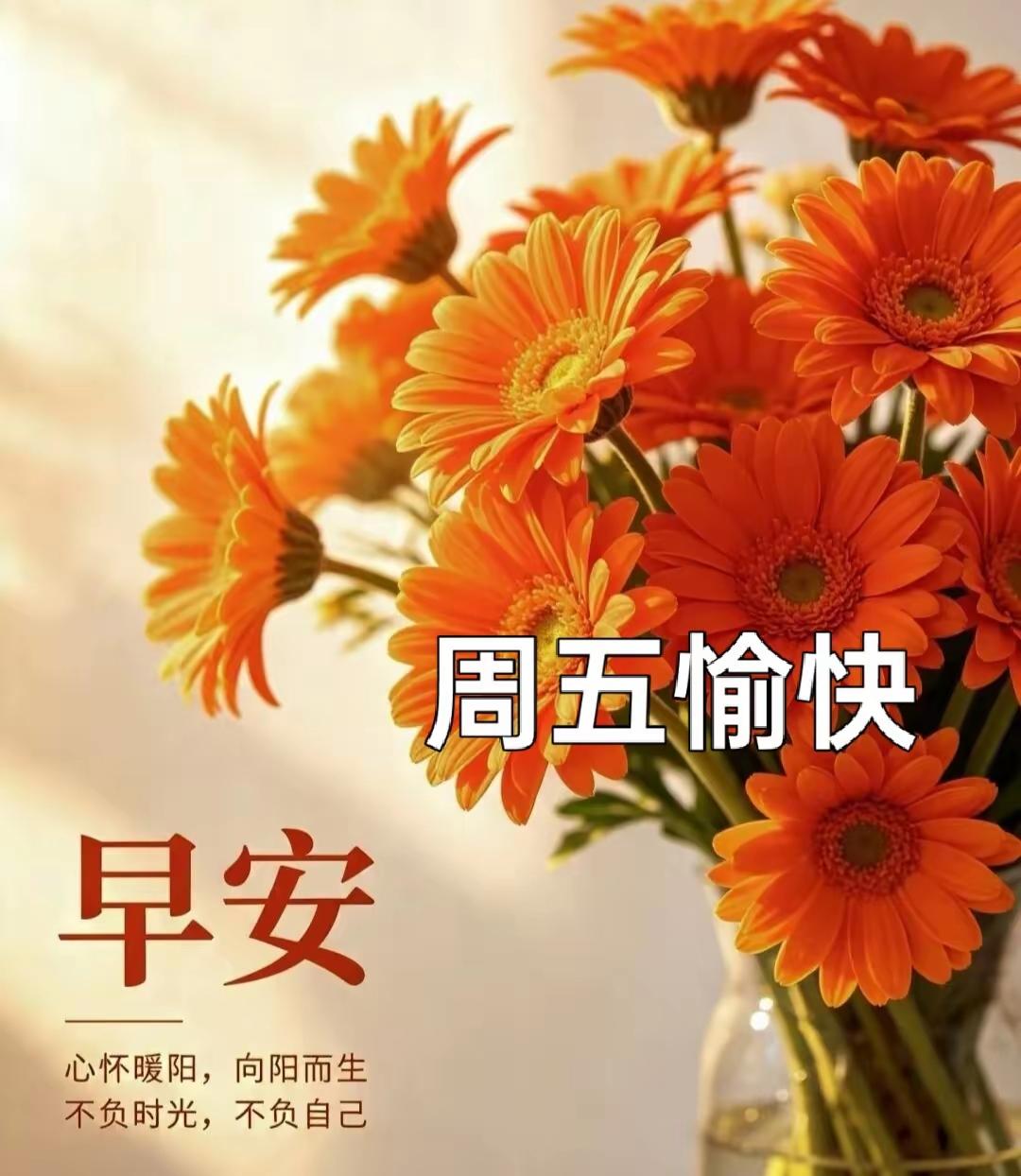 晨光浅浅映窗前，周五欣然展笑颜；愿你日子皆安然，凡事看淡心放宽；喜乐常随