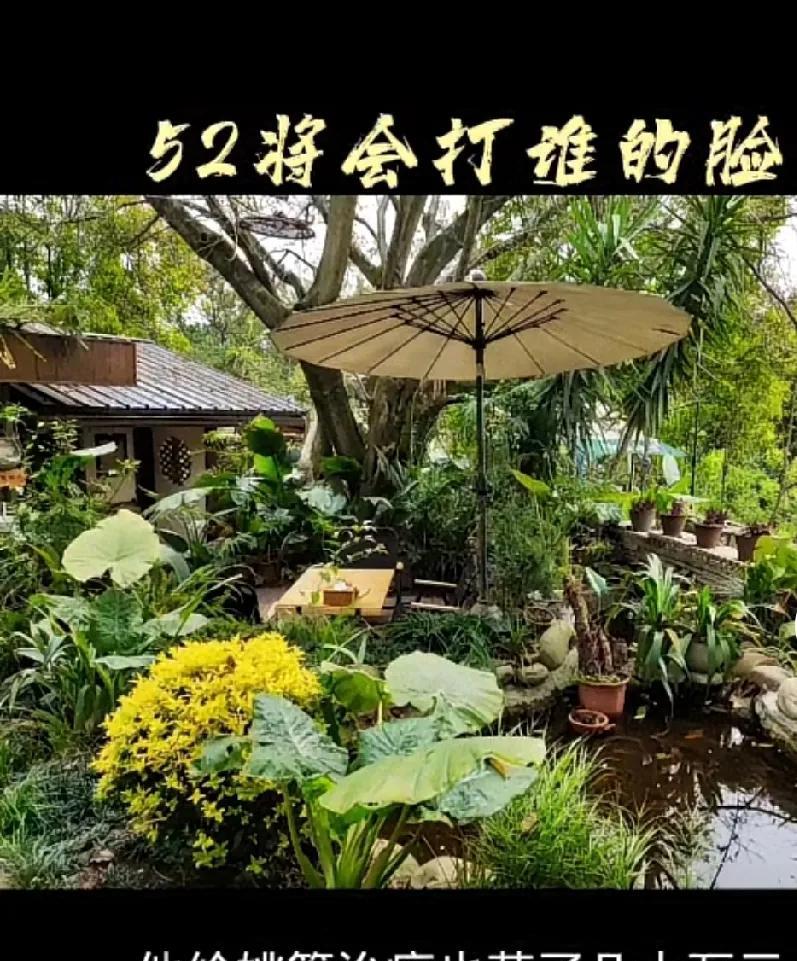 老杜真是脸大，竟然面对媒体记者采访的时候竟然也说给青年治病花了几十万，我都不知道