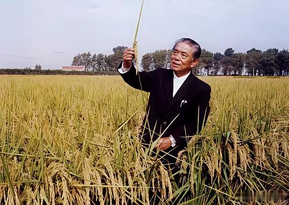 大家只知道杨振宁先生特别厉害，殊不知他还有个厉害的父亲，和弟弟杨振玉。父亲杨武之