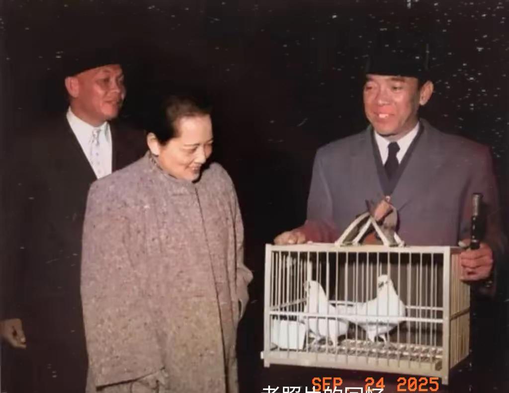 珍贵的一张照片。老照片的回忆，1956年，宋庆龄欢迎来访的苏加诺。亲手赠送两只