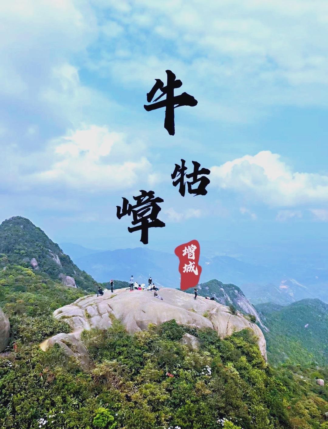 广州周边绝美秘境！牛牯嶂高山杜鹃全开了｜一日徒步+美食全攻略春天不知道去哪？