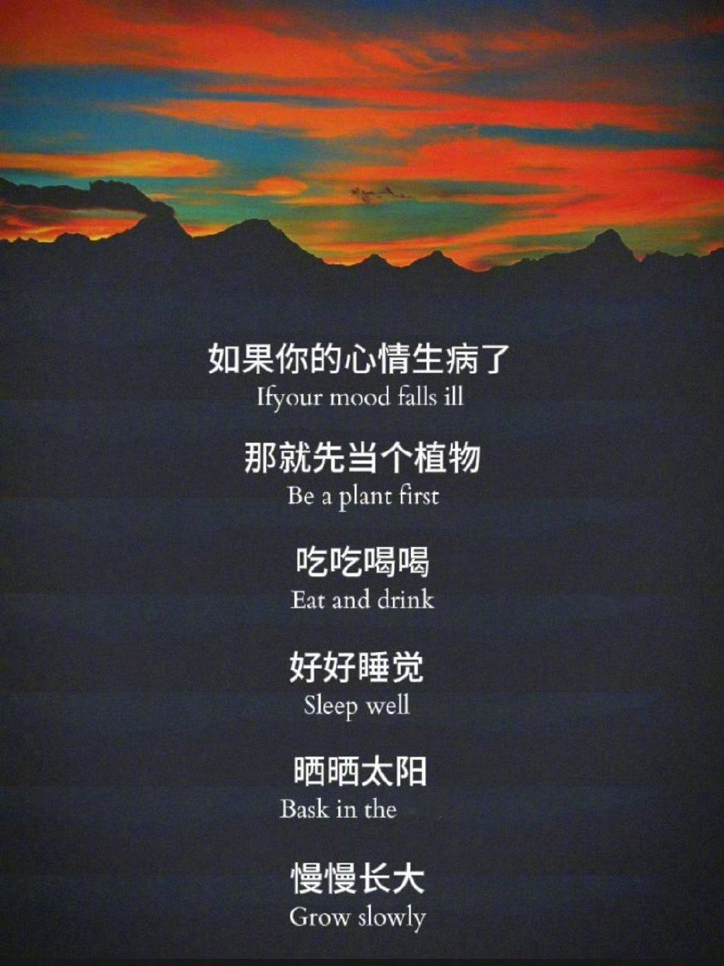 如果你的心情受到了伤害，那就先暂时像一棵植物一样。​​​