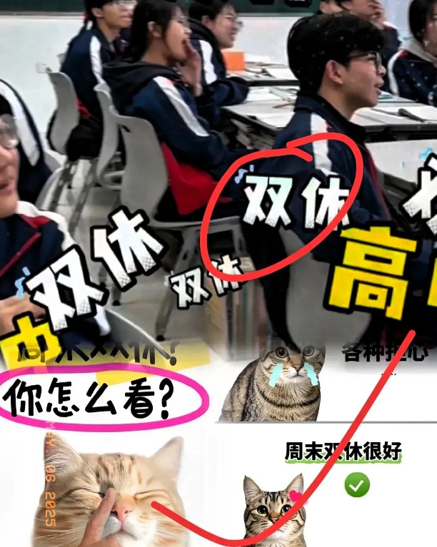 教育局此次可是动真格的了！教育局终于出手了，这次彻底狠下心了！从本周开始，各