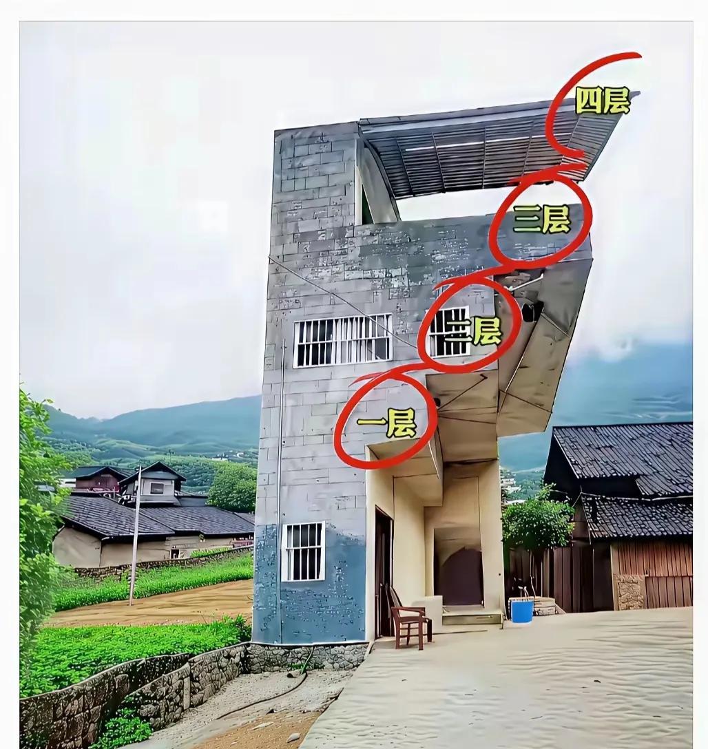这座F造型的房子，究竟是受限于宅基地迫使建造者不得不打破常规？还是屋主别出心