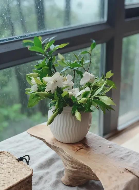 一段很通透的话："一个男人，你选择能干的女人，就得接受她的强势；你选择温柔的女