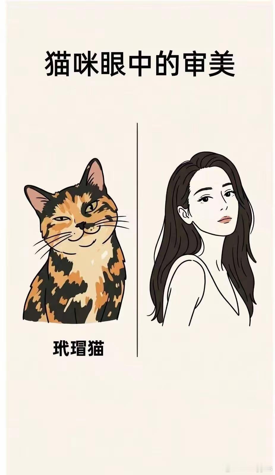 猫咪眼中的审美​​​