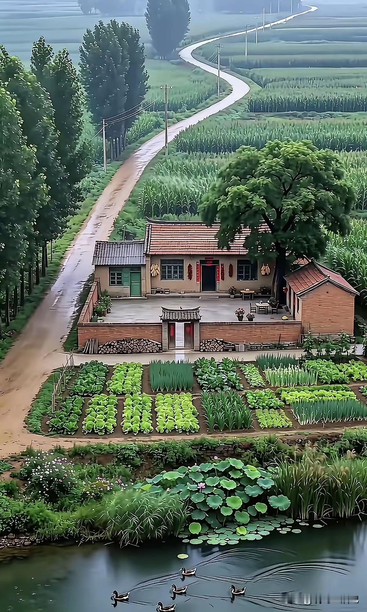 这可能就是城里人，向往的田园生活吧。